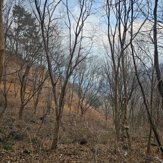 정완희 님의 자유주제 · 자유게시판 작성글 사진