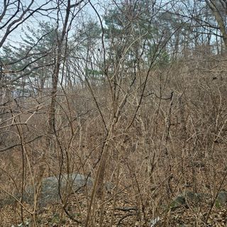 정완희 님의 자유주제 · 자유게시판 작성글 사진