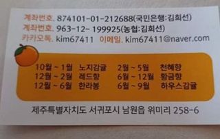 싱싱달코롬님의 작성글 사진