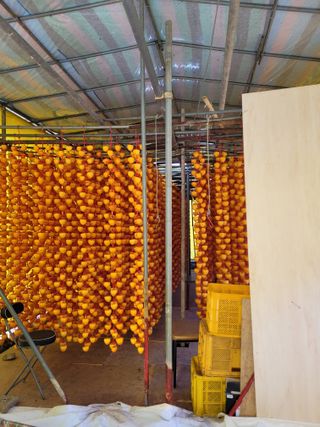 시골농부배짱이님의 팜모닝 신년운세 공유해요☀️ · 참여글 작성글 사진