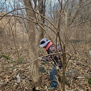 정완희 님의 자유주제 · 자유게시판 작성글 사진