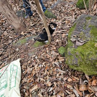 정완희 님의 자유주제 · 자유게시판 작성글 사진