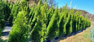 국산님의 2025년, 농사계획은 어떻게 되시나요? · 참여글 작성글 사진