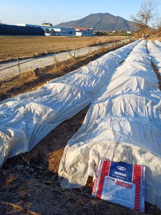 해아래님의 자유주제 · 자유게시판 작성글 사진