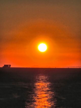 정해인님의 2025년 새해 일출 보셨나요? · 참여글 작성글 사진