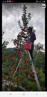 팜모닝 팜모닝 신년운세 공유해요☀️·참여글 게시글 이미지