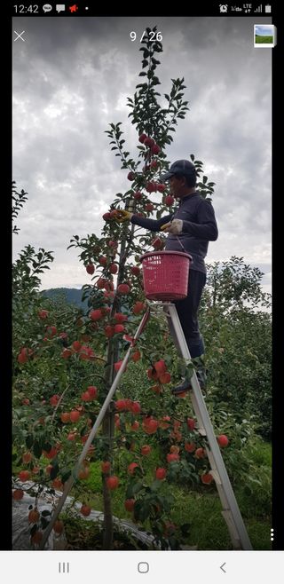 홍석진님의 팜모닝 신년운세 공유해요☀️ · 참여글 작성글 사진
