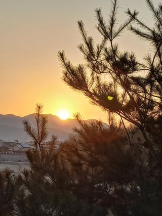 박연숙님의 2025년 새해 일출 보셨나요? · 참여글 작성글 사진