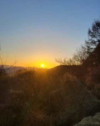 마늘님의 2025년 새해 일출 보셨나요? · 참여글 작성글 사진