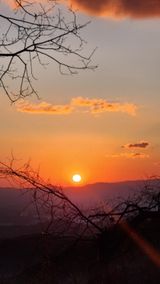 팜모닝 2025년 새해 일출 보셨나요?·참여글 게시글 이미지