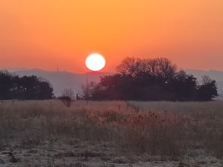 이병문님의 2025년 새해 일출 보셨나요? · 참여글 작성글 사진