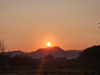 보리수치유농장님의 2025년 새해 일출 보셨나요? · 참여글 작성글 사진