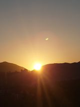 팜모닝 팜모닝 신년운세 공유해요☀️·참여글 게시글 이미지