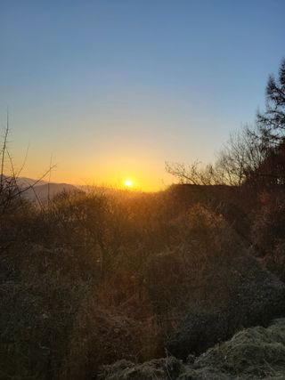 마늘님의 2025년 새해 일출 보셨나요? · 참여글 작성글 사진