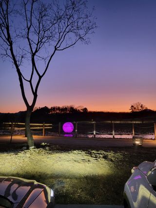 다나농원 이진우님의 2025년 새해 일출 보셨나요? · 참여글 작성글 사진