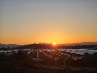 송희숙님의 2025년 새해 일출 보셨나요? · 참여글 작성글 사진