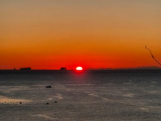 정해인님의 2025년 새해 일출 보셨나요? · 참여글 작성글 사진