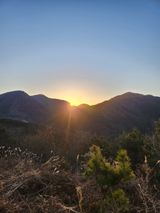 팜모닝 2025년 새해 일출 보셨나요?·참여글 게시글 이미지