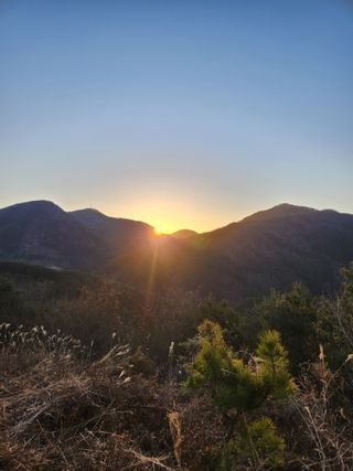 김정곤님의 2025년 새해 일출 보셨나요? · 참여글 작성글 사진