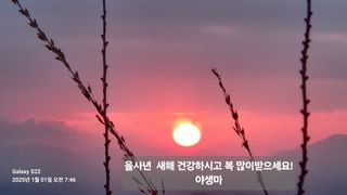야생마님의 2025년 새해 일출 보셨나요? · 참여글 작성글 사진
