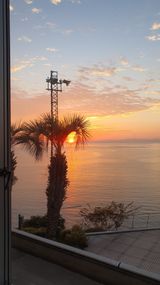 팜모닝 2025년 새해 일출 보셨나요?·참여글 게시글 이미지