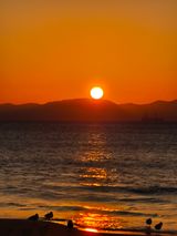 팜모닝 2025년 새해 일출 보셨나요?·참여글 게시글 이미지