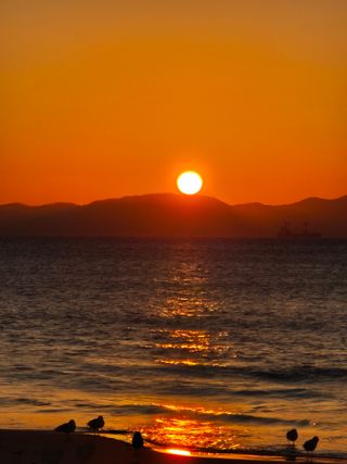 징금다리님의 2025년 새해 일출 보셨나요? · 참여글 작성글 사진