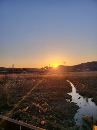 정용학님의 2025년 새해 일출 보셨나요? · 참여글 작성글 사진