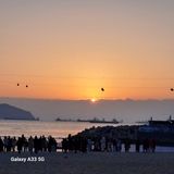 팜모닝 2025년 새해 일출 보셨나요?·참여글 게시글 이미지