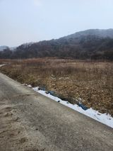 팜모닝 자유주제·자유게시판 게시글 이미지