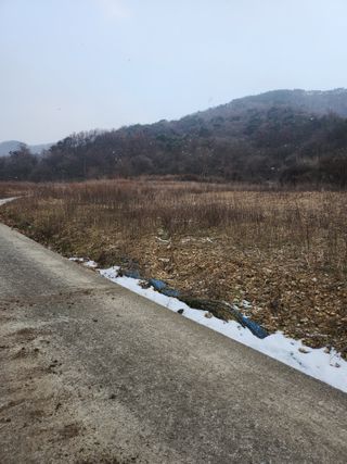 조령농장윤효라님의 자유주제 · 자유게시판 작성글 사진