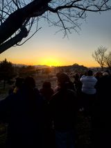 팜모닝 2025년 새해 일출 보셨나요?·참여글 게시글 이미지