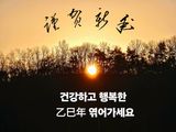 팜모닝 2025년 새해 일출 보셨나요?·참여글 게시글 이미지