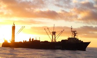 딸기13732님의 2025년 새해 일출 보셨나요? · 참여글 작성글 사진