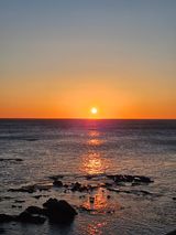 팜모닝 2025년 새해 일출 보셨나요?·참여글 게시글 이미지