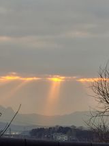 팜모닝 2025년 새해 일출 보셨나요?·참여글 게시글 이미지