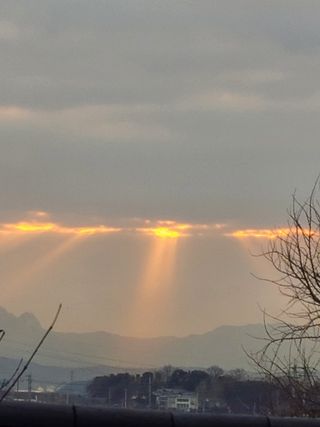 북극성짱님의 2025년 새해 일출 보셨나요? · 참여글 작성글 사진