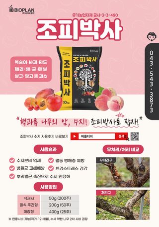 김용준님의 작성글 사진