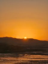 팜모닝 2025년 새해 일출 보셨나요?·참여글 게시글 이미지