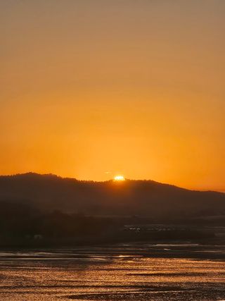 고랑이랑 임수연님의 2025년 새해 일출 보셨나요? · 참여글 작성글 사진