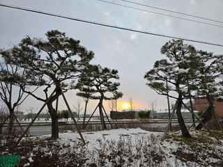 정광일님의 자유주제 · 자유게시판 작성글 사진