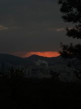 팜모닝 2025년 새해 일출 보셨나요?·참여글 게시글 이미지