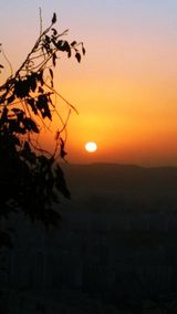 팜모닝 2025년 새해 일출 보셨나요?·참여글 게시글 이미지