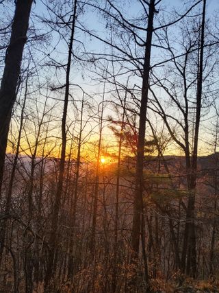 마늘님의 2025년 새해 일출 보셨나요? · 참여글 작성글 사진