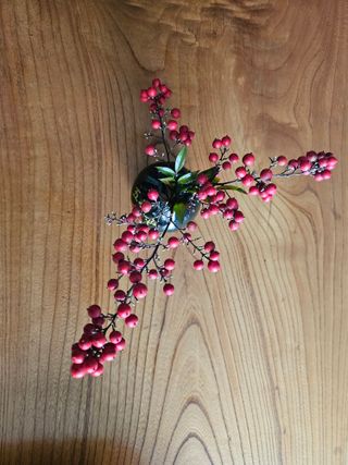 귀농맘님의 자유주제 · 자유게시판 작성글 사진