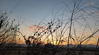 초보농부님의 2025년 새해 일출 보셨나요? · 참여글 작성글 사진