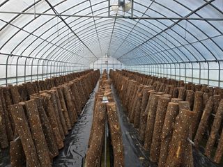 인더숲 님의 자유주제 · 자유게시판 작성글 사진