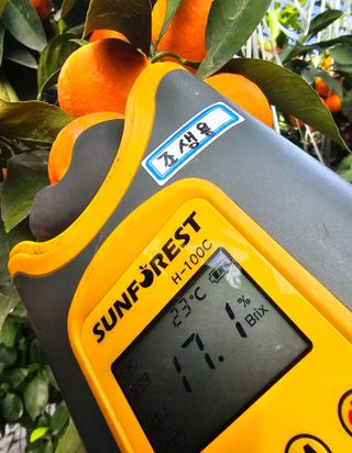 복희네농장(달콤향)님의 자유주제 · 자유게시판 작성글 사진