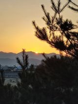 팜모닝 2025년 새해 일출 보셨나요?·참여글 게시글 이미지