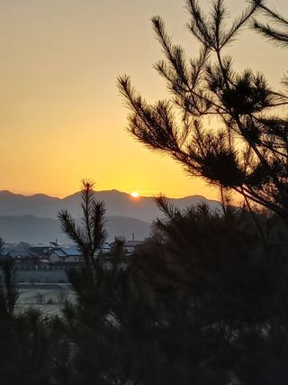 박연숙님의 2025년 새해 일출 보셨나요? · 참여글 작성글 사진